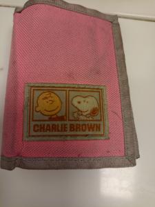 CS566/2024 PINK WALLET